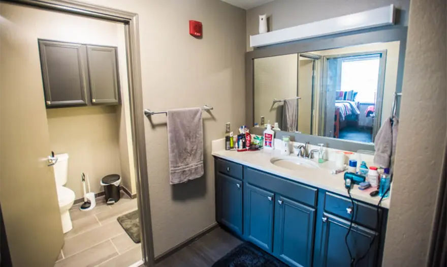 Bryant hall bathroom vanity and sink