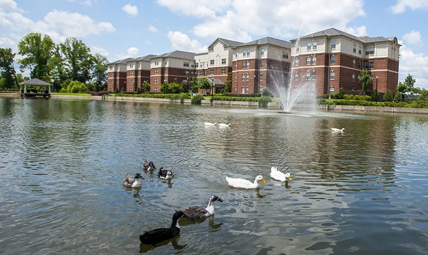 Lakeside Hall