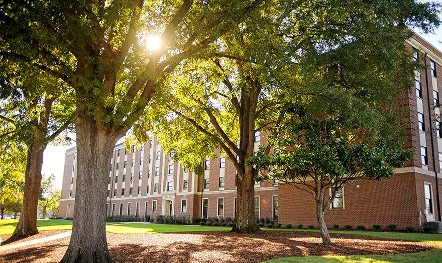 Paty Hall