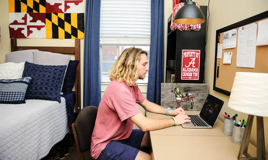 Decorated bedroom in Ridgecrest South with a male student sitting at his desk working on his laptop