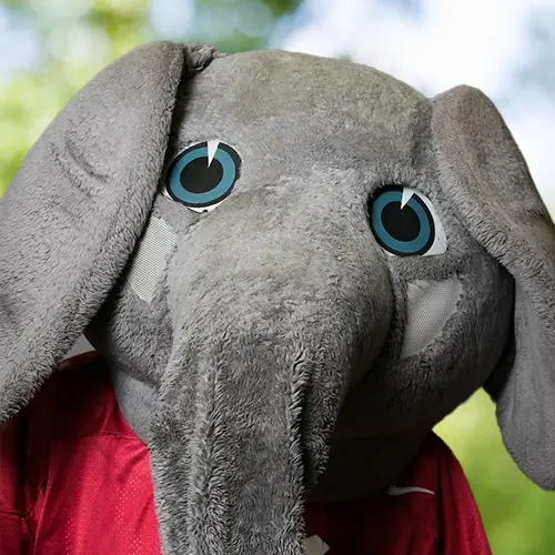 No staff photo available (picture of Big Al)